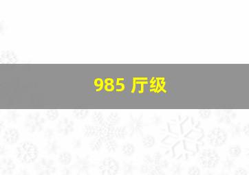 985 厅级